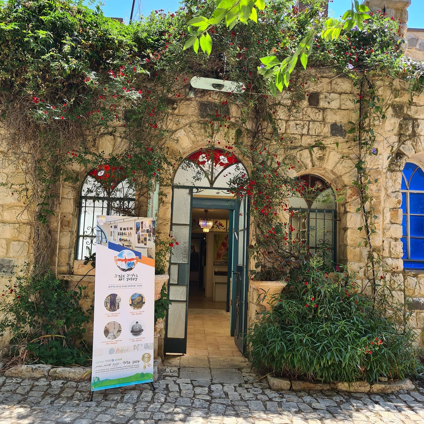 גלריה אגמיה