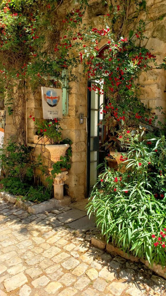 גלריה אגמיה